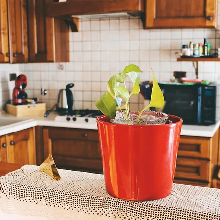 Casa Mira - Ampio, Fully Equipped E Zona Tranquilla *